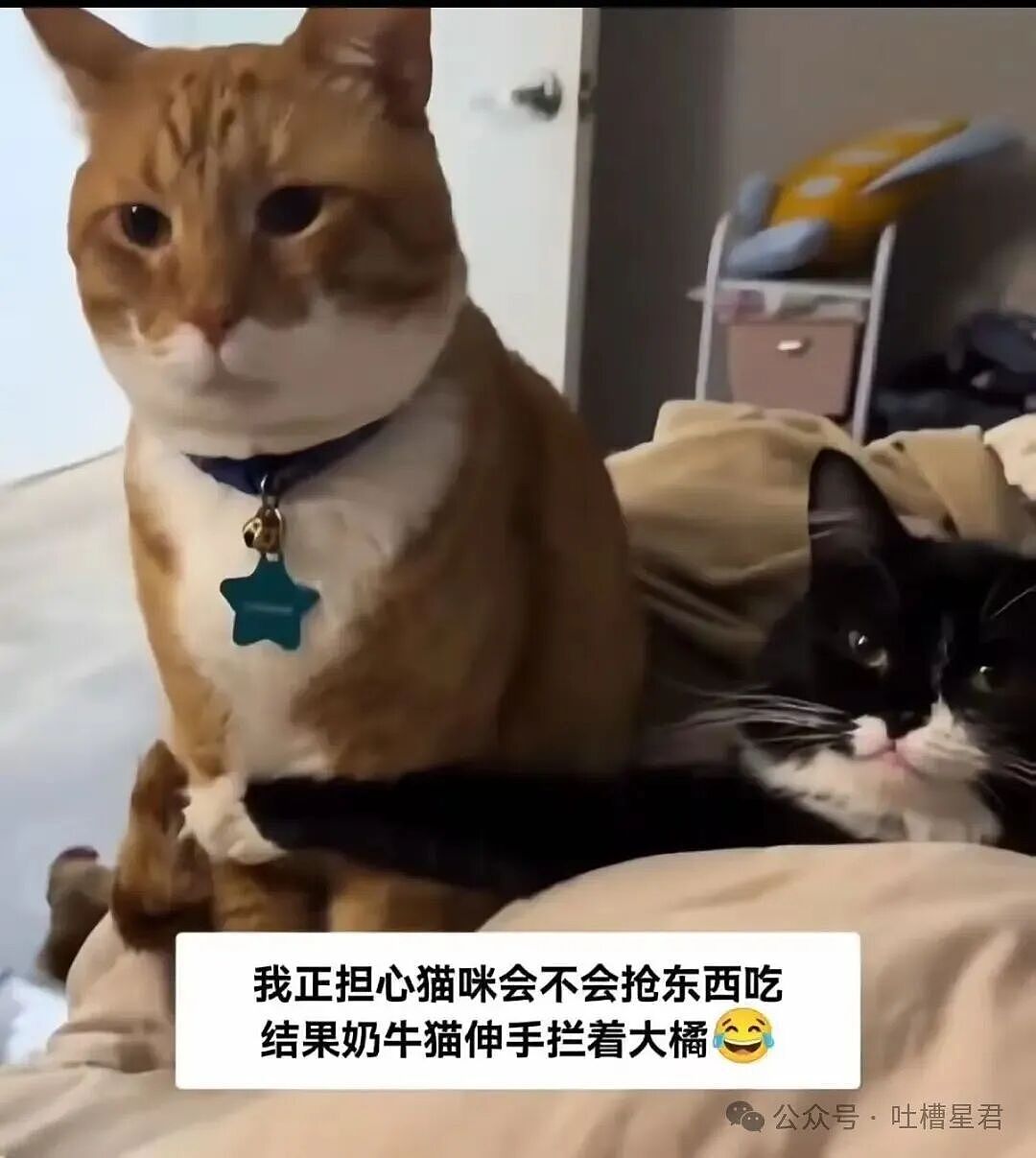 【爆笑】当退货率过高把商家吓破了胆后…?哈哈哈有点阴招全使我们身上了(组图) - 31
