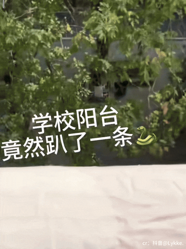 【爆笑】“为了省钱平替能有多离谱”哈哈哈哈哈哈哈这届车主是懂生活的（组图） - 39