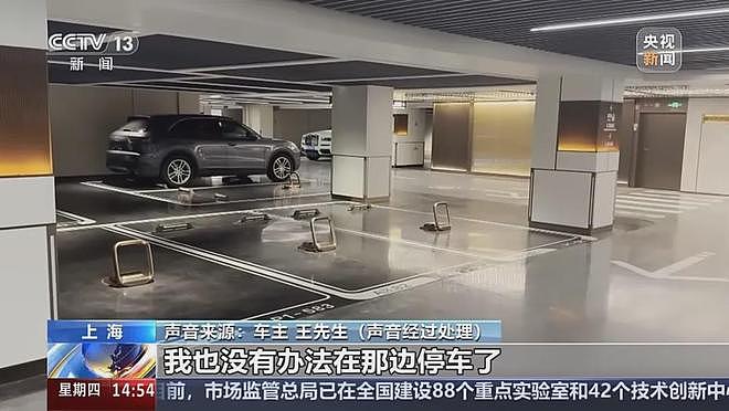 夫妻带家人薅免费停车福利转卖,致多个商场损失超50万(组图) - 5