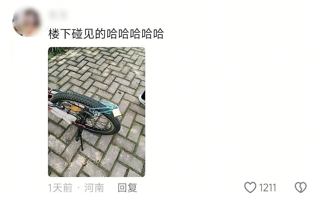 【爆笑】“为了省钱平替能有多离谱”哈哈哈哈哈哈哈这届车主是懂生活的（组图） - 13