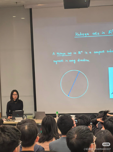 菲尔兹奖大热：90后女数学家王虹港大演讲，座无虚席！获赞优雅从容（组图） - 4