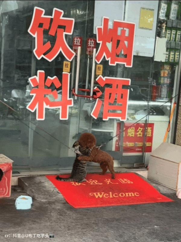 【爆笑】“为了省钱平替能有多离谱”哈哈哈哈哈哈哈这届车主是懂生活的（组图） - 66
