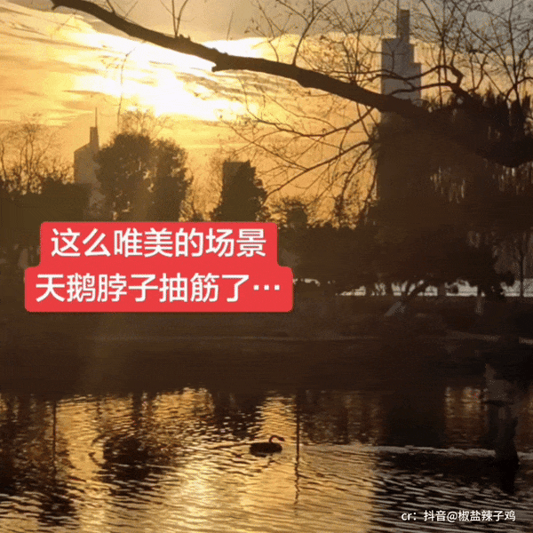 【爆笑】“为了省钱平替能有多离谱”哈哈哈哈哈哈哈这届车主是懂生活的（组图） - 17