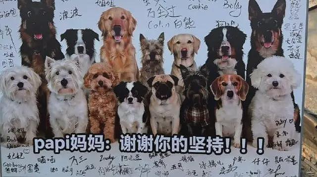 中国宠物投毒刑事公诉第一案:投毒人获刑四年(组图) - 1
