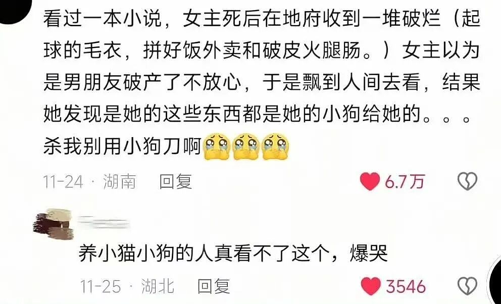 【爆笑】“拿到新电脑后第一件事把C盘删了…?”哈哈哈聪明人绞尽脑汁不如蠢人灵机一动!(组图) - 73