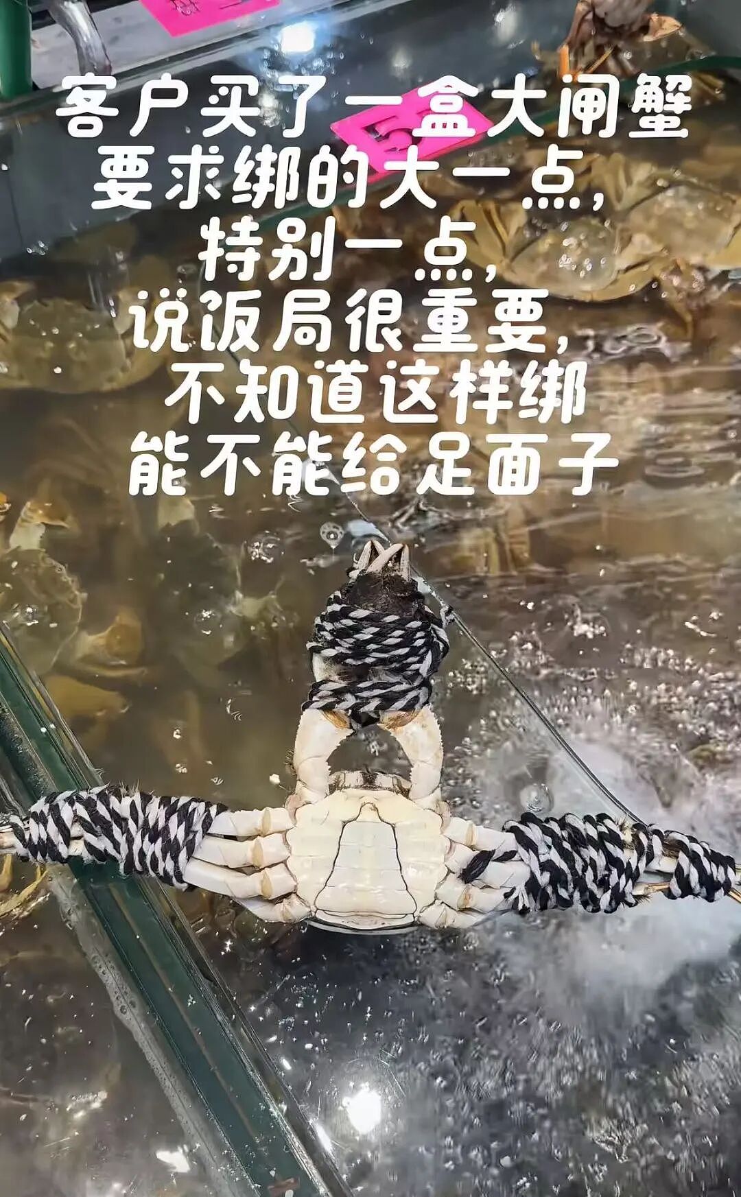 【爆笑】“拿到新电脑后第一件事把C盘删了…?”哈哈哈聪明人绞尽脑汁不如蠢人灵机一动!(组图) - 52