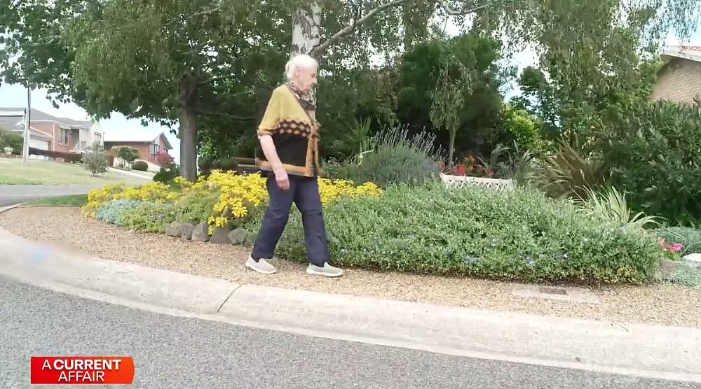 来评评理!维州老太自家门前种花草,却被议会勒令清除,还罚款500(组图) - 8