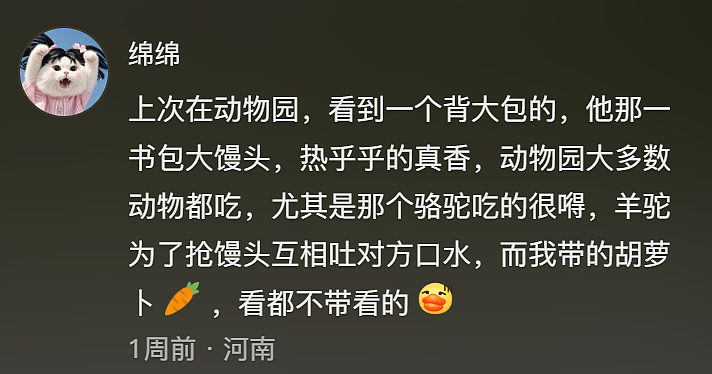 【宠物】不吃狗粮吃馒头的拉布拉多看到馒头老板没来，直接化身“望馍犬”，没有什么一个馒头解决不了的（组图） - 14