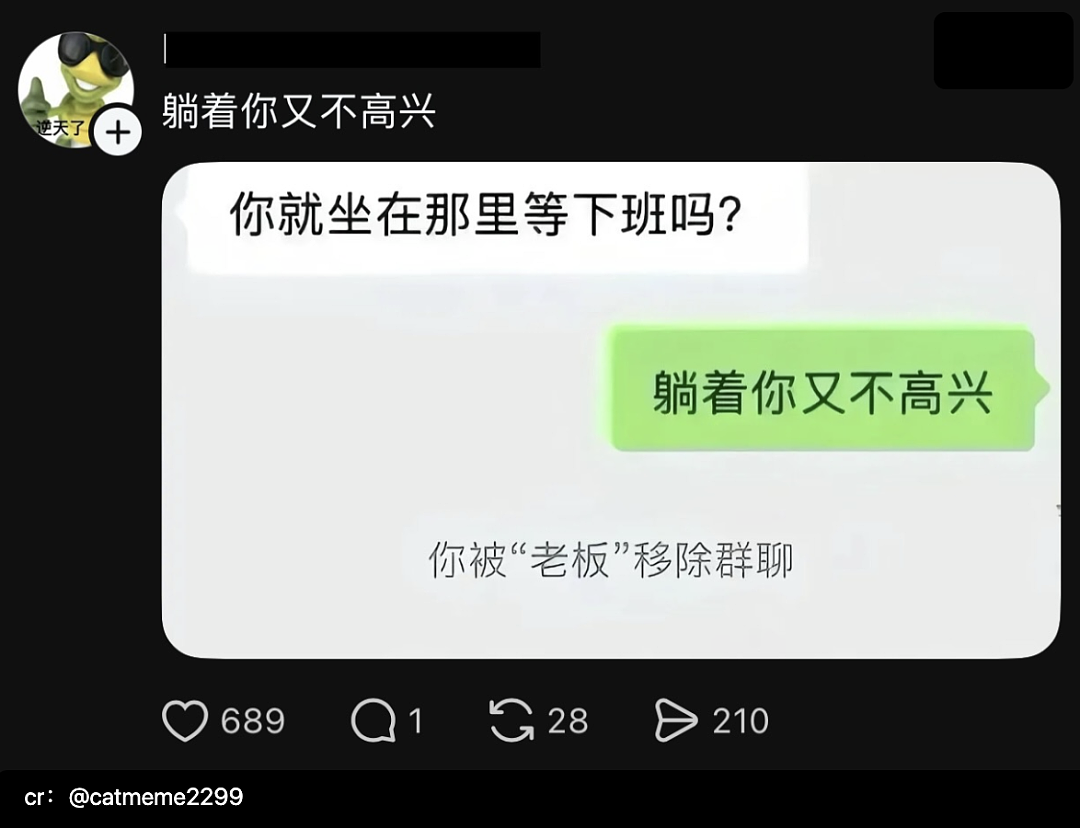 【爆笑】“为了省钱平替能有多离谱”哈哈哈哈哈哈哈这届车主是懂生活的（组图） - 33