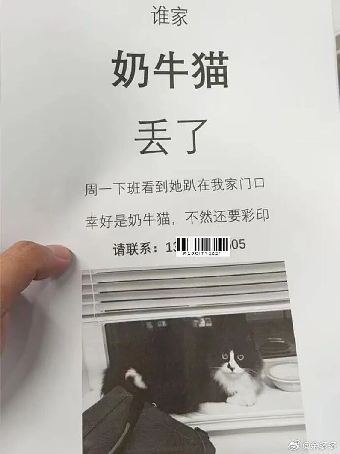 【爆笑】“为了省钱平替能有多离谱”哈哈哈哈哈哈哈这届车主是懂生活的（组图） - 29