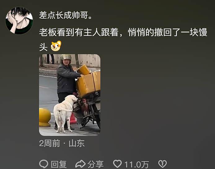 【宠物】不吃狗粮吃馒头的拉布拉多看到馒头老板没来，直接化身“望馍犬”，没有什么一个馒头解决不了的（组图） - 4