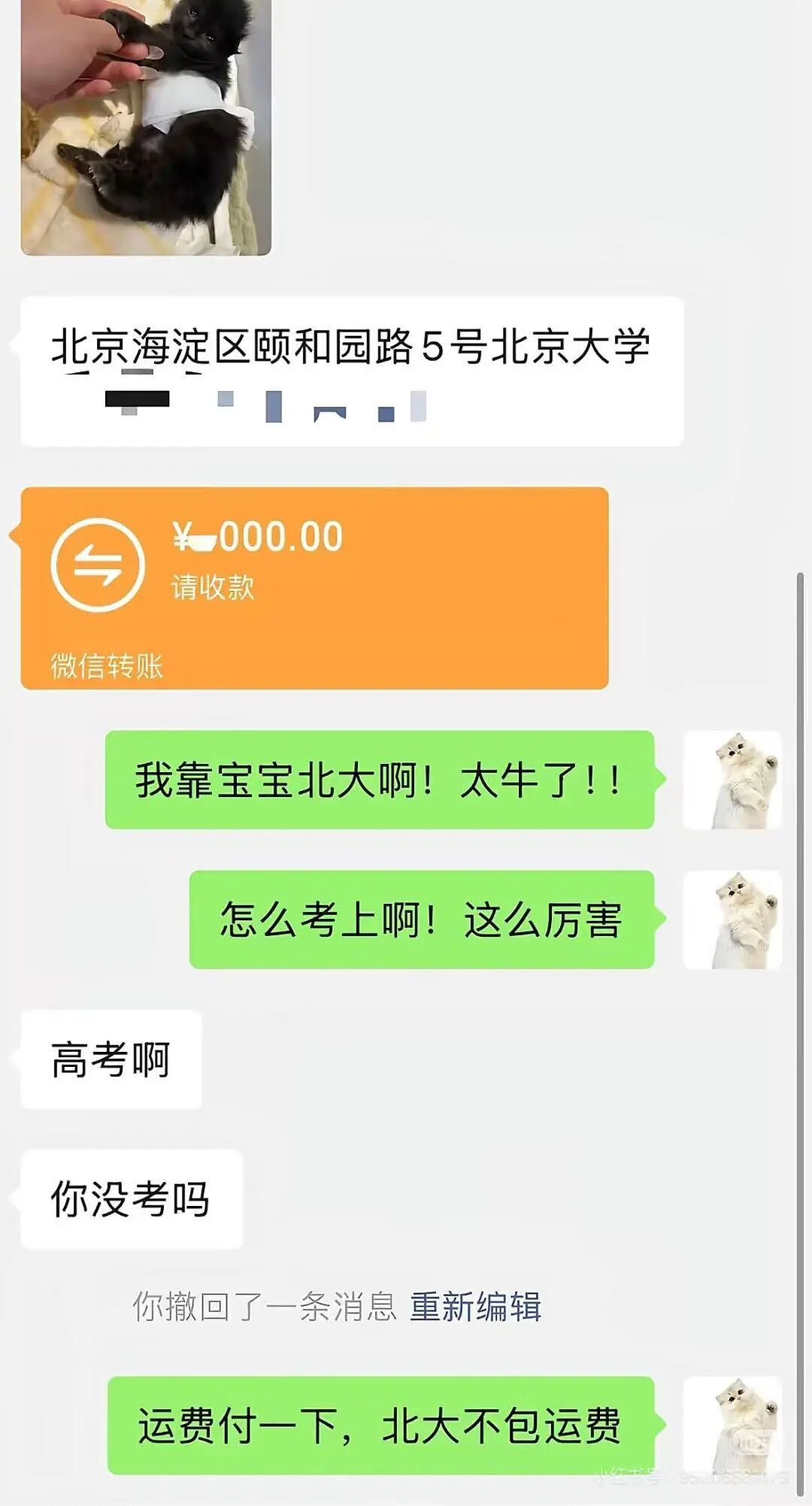 【爆笑】“拿到新电脑后第一件事把C盘删了…?”哈哈哈聪明人绞尽脑汁不如蠢人灵机一动!(组图) - 31