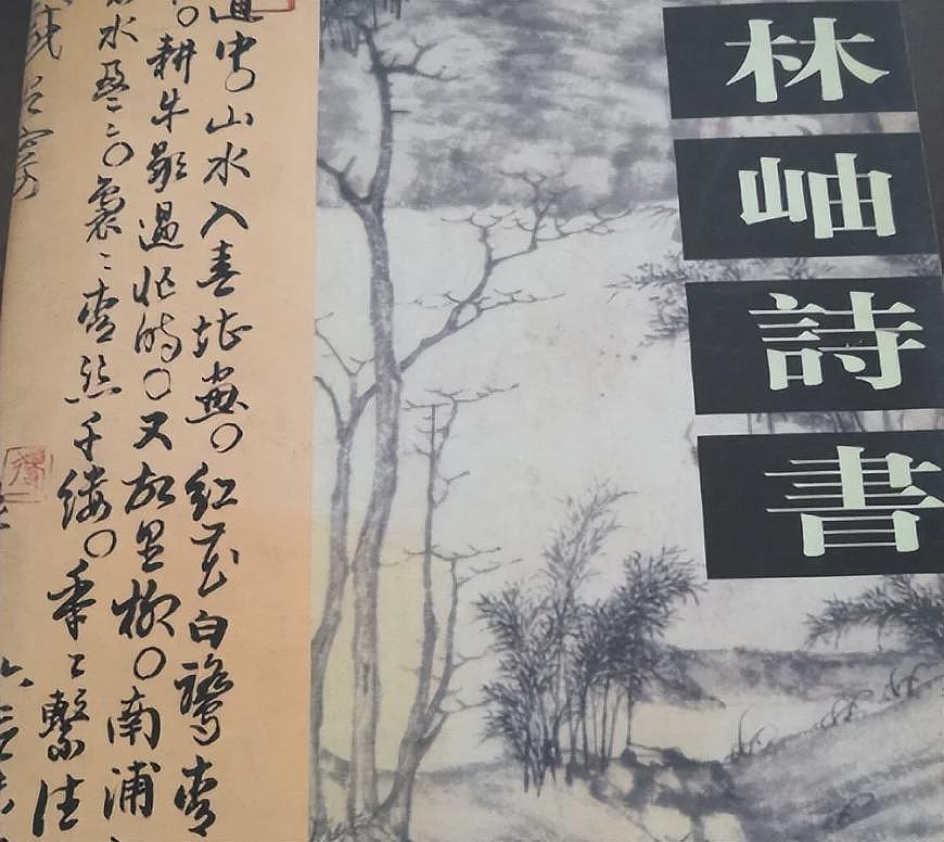 原来她是范曾发妻!如今87岁前夫再添一子,她早已走上康庄大道(组图) - 13