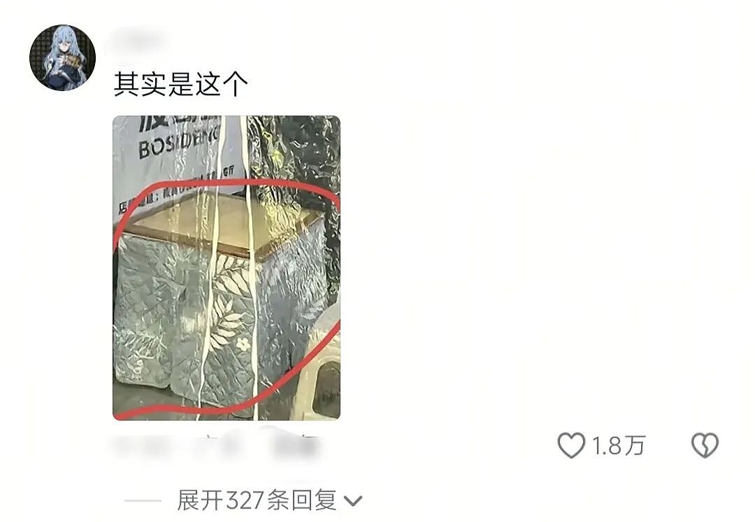 【爆笑】“为了省钱平替能有多离谱”哈哈哈哈哈哈哈这届车主是懂生活的（组图） - 82