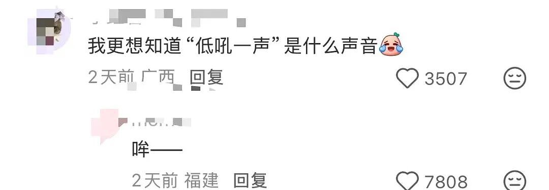 【爆笑】“拿到新电脑后第一件事把C盘删了…?”哈哈哈聪明人绞尽脑汁不如蠢人灵机一动!(组图) - 60
