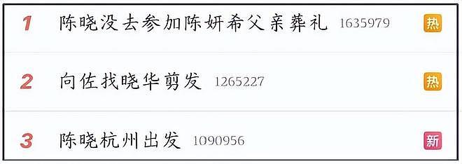 陈晓口碑全盘崩塌！求婚前没见陈妍希父母，把他当儿子丧礼都没去（组图） - 11