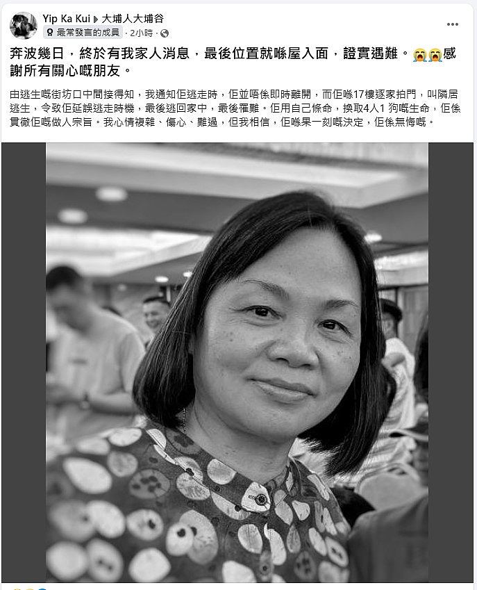 香港大火中居民舍己救人，消防闯400度火海，DVIU寻遗骸（组图） - 16