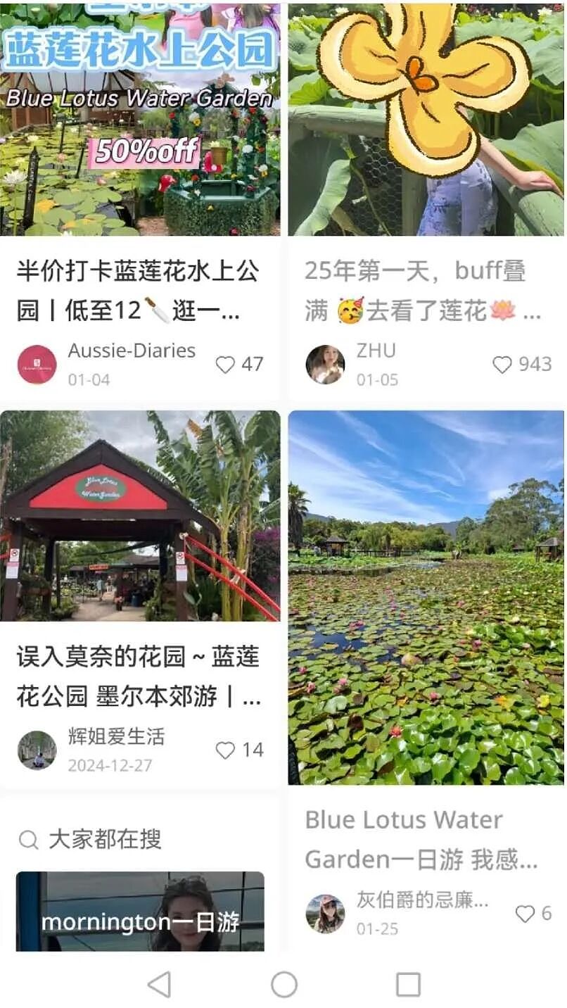 开放时间刚公布！墨尔本5万米绝美荷花园，限定开放！（组图） - 11