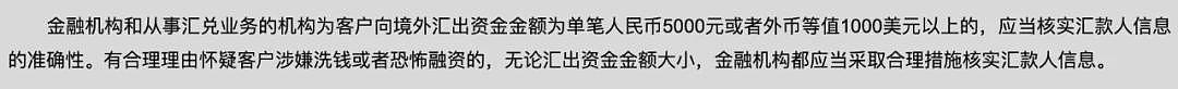 海外华人注意!1月1日两大汇款新规:美国征1%跨境税、中国拉响“最严”跨境汇款警报(组图) - 4