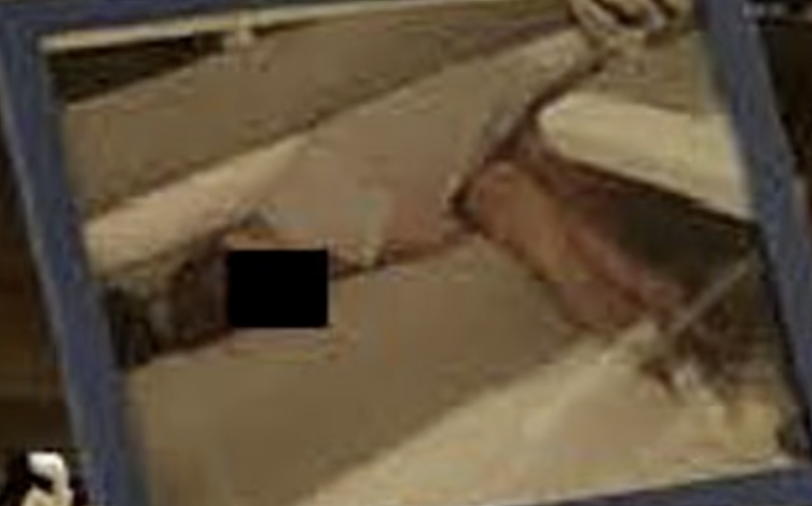 爱泼斯坦秘密档案曝光,天天欣赏昏迷女子照片,家里放“特朗普套套”,全网倒吸冷气(组图) - 11