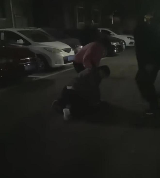 女子小区散步遭大狗咬断手筋，小伙冲下2楼摁住肇事狗，手掌被咬穿（组图） - 2