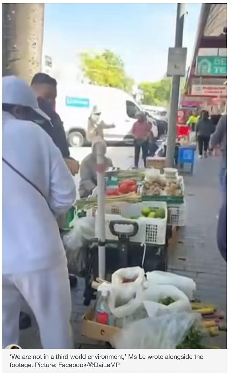 澳洲“街头摆摊卖菜”愈演越烈，联邦议员发视频抨击（组图） - 11