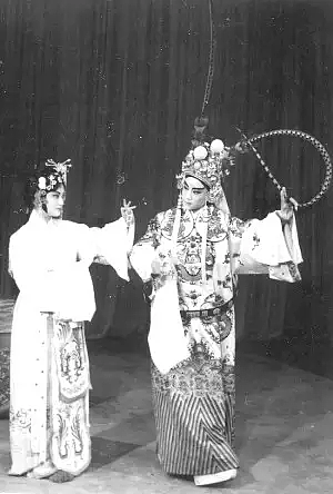 知名女演员何晴去世，终年61岁！曾演遍四大名著，被誉为“第一古典美女”（视频/组图） - 10