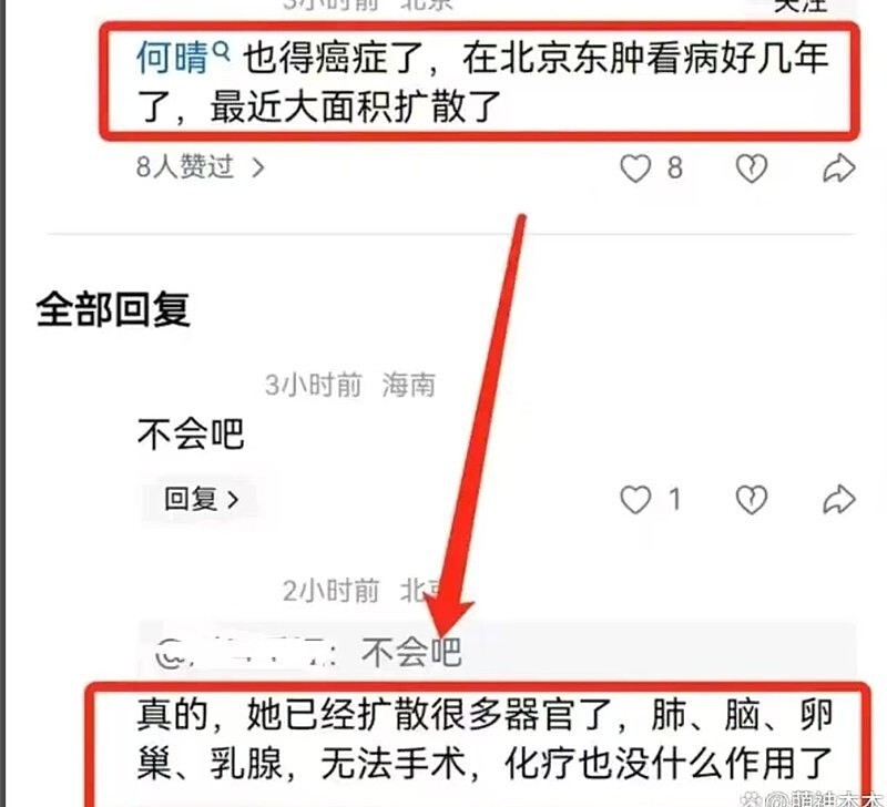 何晴因病离世，遗产如何分配？“古装第一美人”的真实身家让人意外（组图） - 11