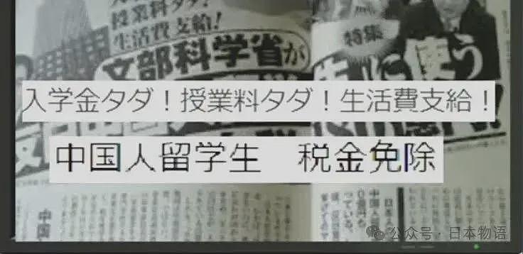高市政府要取消中国留学生特权,已实行42年的“所得税豁免”政策(组图) - 4