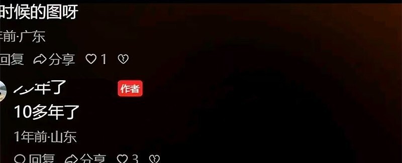何晴因病离世，遗产如何分配？“古装第一美人”的真实身家让人意外（组图） - 9