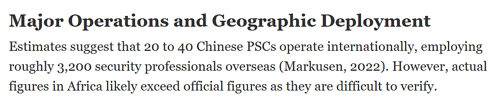 被绑架的“蓝战非”,与中国海外安保产业(组图) - 7