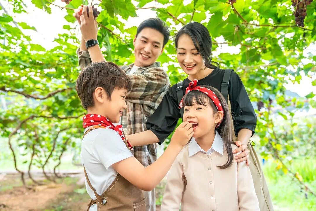 为什么老二总是比老大更聪明？真相扎心了......（组图） - 4