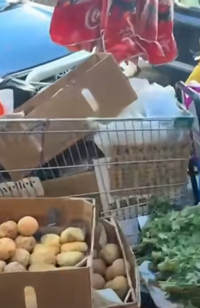 大量亚裔老人悉尼街头摆摊卖菜,议员吐槽:把澳洲变成第三世界国家(视频/组图) - 12