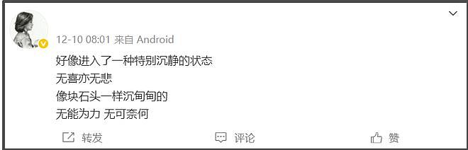 何晴生前最大谣言！没有再婚嫁廖京生，唯一一段婚姻是和许亚军（组图） - 18