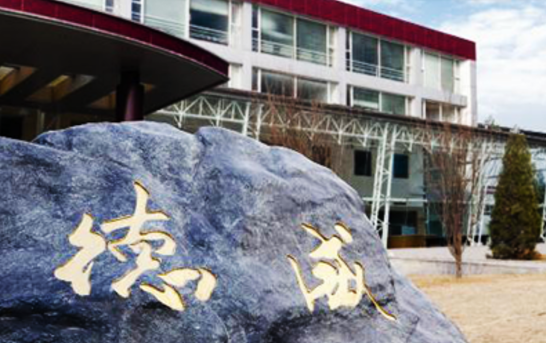 被绑架的“蓝战非”,与中国海外安保产业(组图) - 11