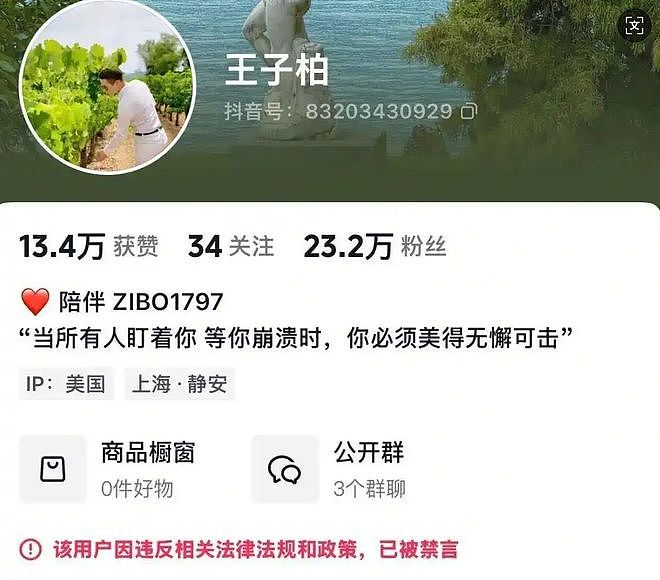 “东北雨姐”等劣迹大网红复出被查，他们是如何“借尸还魂”的？（组图） - 8