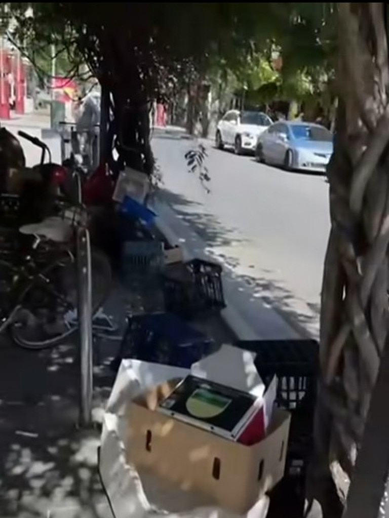 大量亚裔老人悉尼街头摆摊卖菜,议员吐槽:把澳洲变成第三世界国家(视频/组图) - 9