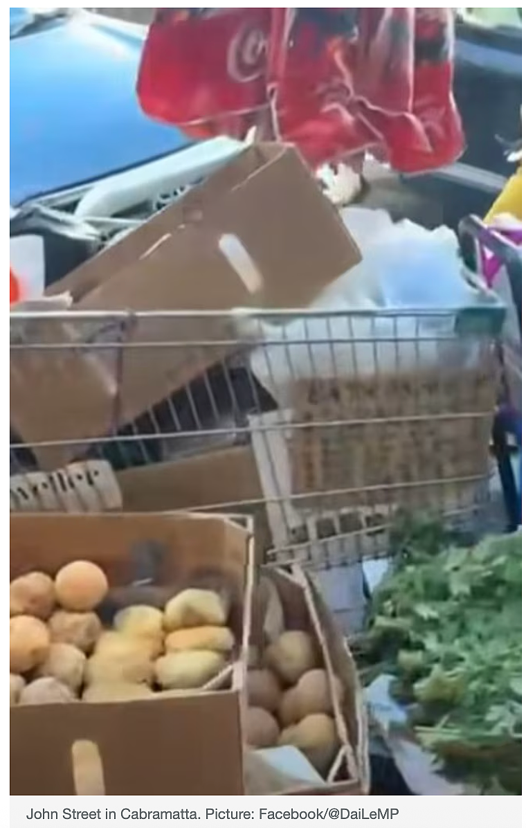 澳洲“街头摆摊卖菜”愈演越烈，联邦议员发视频抨击（组图） - 12