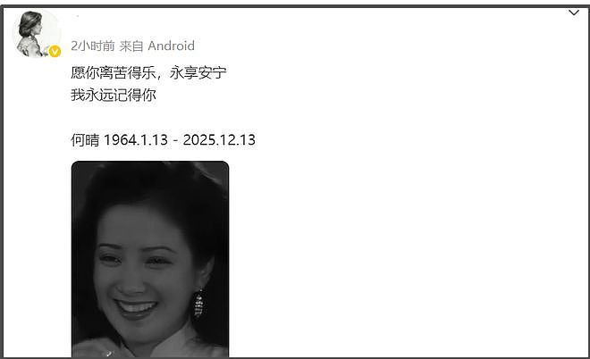 何晴生前最大谣言！没有再婚嫁廖京生，唯一一段婚姻是和许亚军（组图） - 23