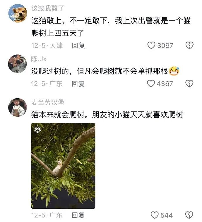 【爆笑】闺蜜突然说希望前男友跟她求复合?哈哈哈结局出乎意料!(组图) - 27