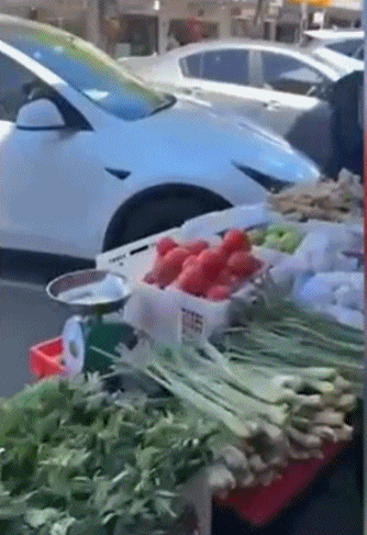 大量亚裔老人悉尼街头摆摊卖菜,议员吐槽:把澳洲变成第三世界国家(视频/组图) - 3