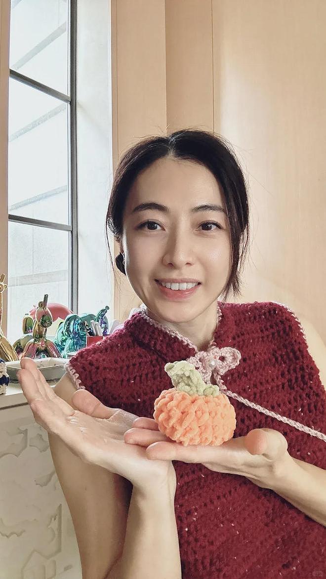甘比、刘銮雄同框，家庭地位反转！她不背爱马仕，织毛衣做自己（组图） - 42
