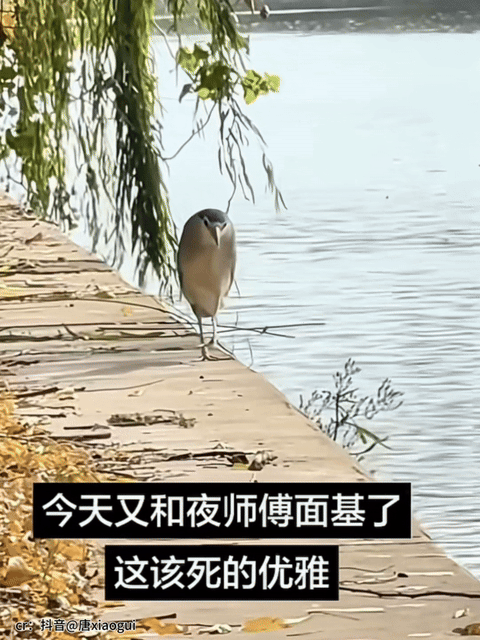 【爆笑】“网友拍live图能有多社死?”哈哈哈哈哈哈哈哈每帧都是在精神攻击(组图) - 43