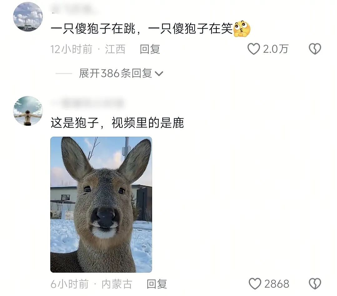 【爆笑】“网友拍live图能有多社死?”哈哈哈哈哈哈哈哈每帧都是在精神攻击(组图) - 27