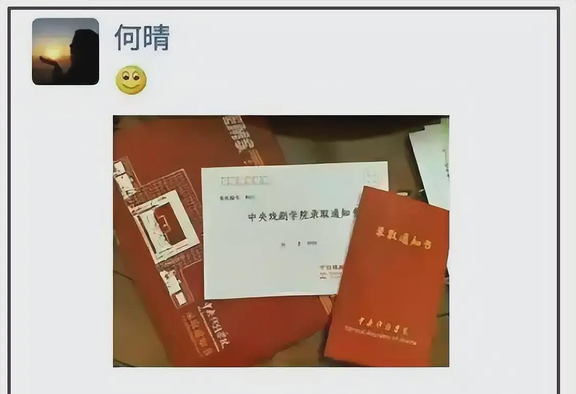何晴生前遗憾曝光,儿子行为惹争议,母亲生病他忙着拍杂志,和继母关系好(组图) - 6