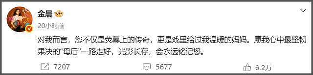 何晴儿子捧骨灰现身,自曝母亲临终很安详,在她最爱的下雪天离世(组图) - 25