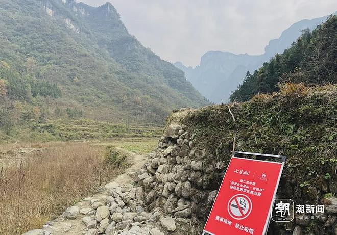 掀起200亿次浏览热浪，网红“荒野求生”突然停止！揭秘选手们的最后一周（组图） - 10