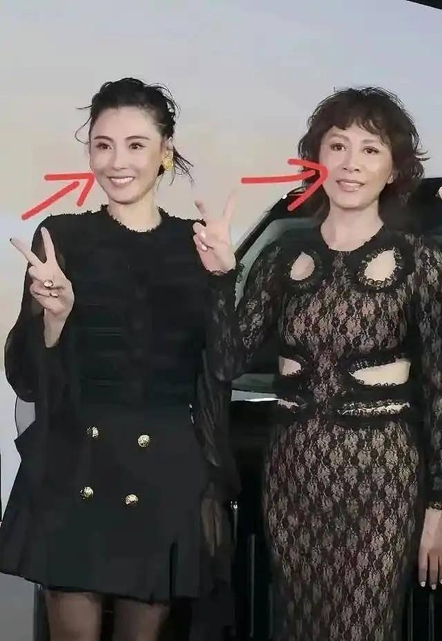 没男友乱生娃？刘嘉玲的爆料揭开张柏芝多年生育执念的真相（组图） - 1
