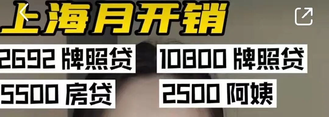 上海一家三口月开销6万引热议:多少钱才能过上体面的中产生活?(组图) - 7