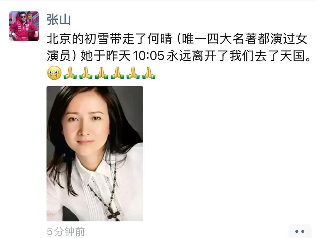 悲痛！著名女演员何晴病逝！生前最大谣言被澄清：未再婚廖京生，一生只结过一次婚（组图） - 14